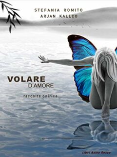 Volare d’Amore
