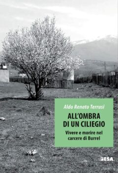 All’ombra di un ciliegio