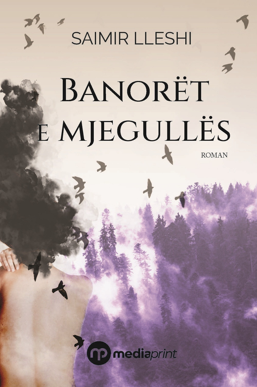 Saimir Banoret E Mjegulles