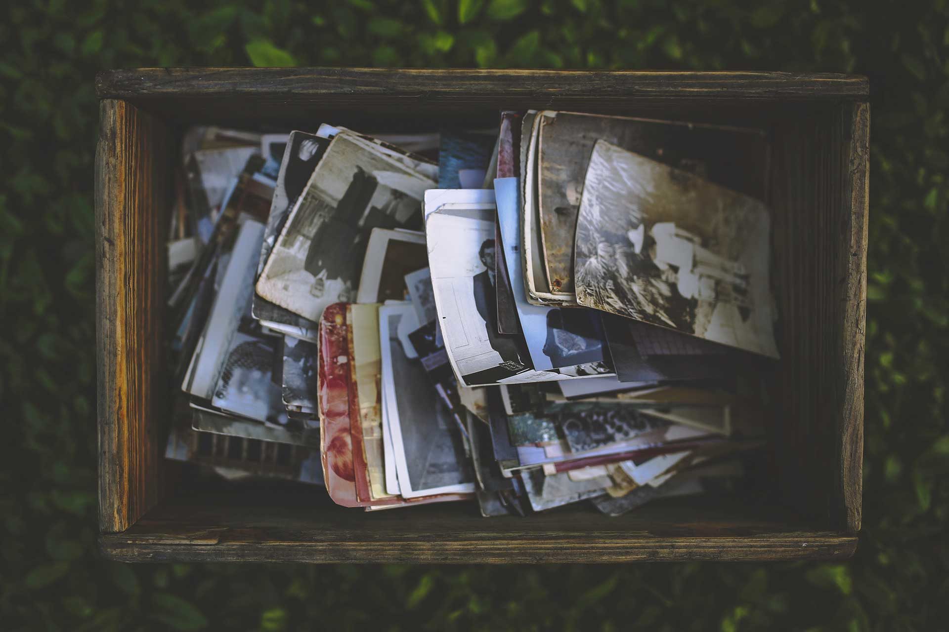 Box Photos Concorso Dimmi 2019 1920x1280